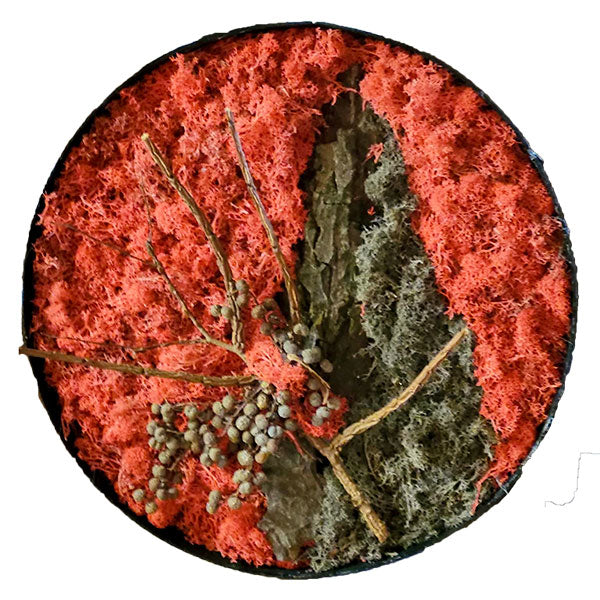 Mosbillede rund rød, grøn, gren, bark 35 cm